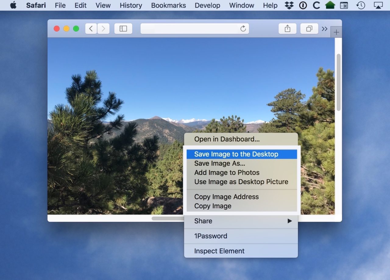 Mendownload gambar dengan cara mengklik tombol save untuk menyimpan gambar