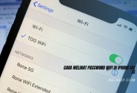 Cara Melihat Password WiFi di iPhone iOS 15